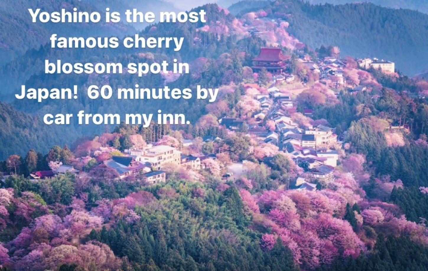 Inn Unkai No Sato No Yado Nosegawa Buitenkant foto