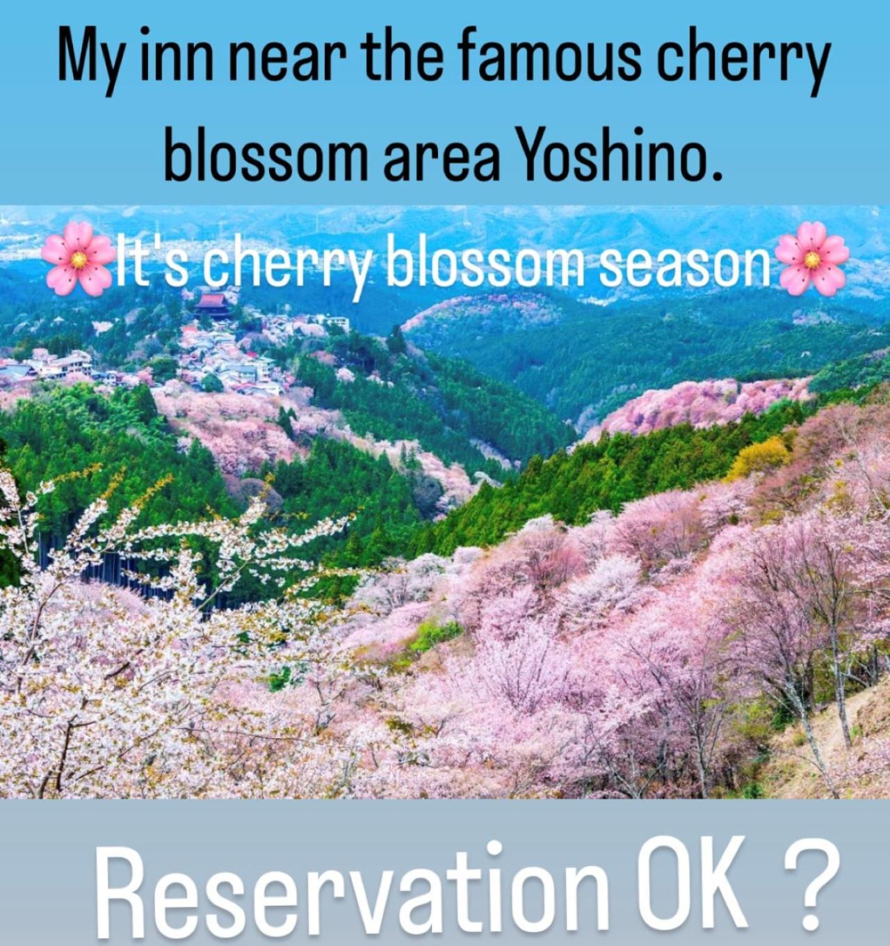 Inn Unkai No Sato No Yado Nosegawa Buitenkant foto