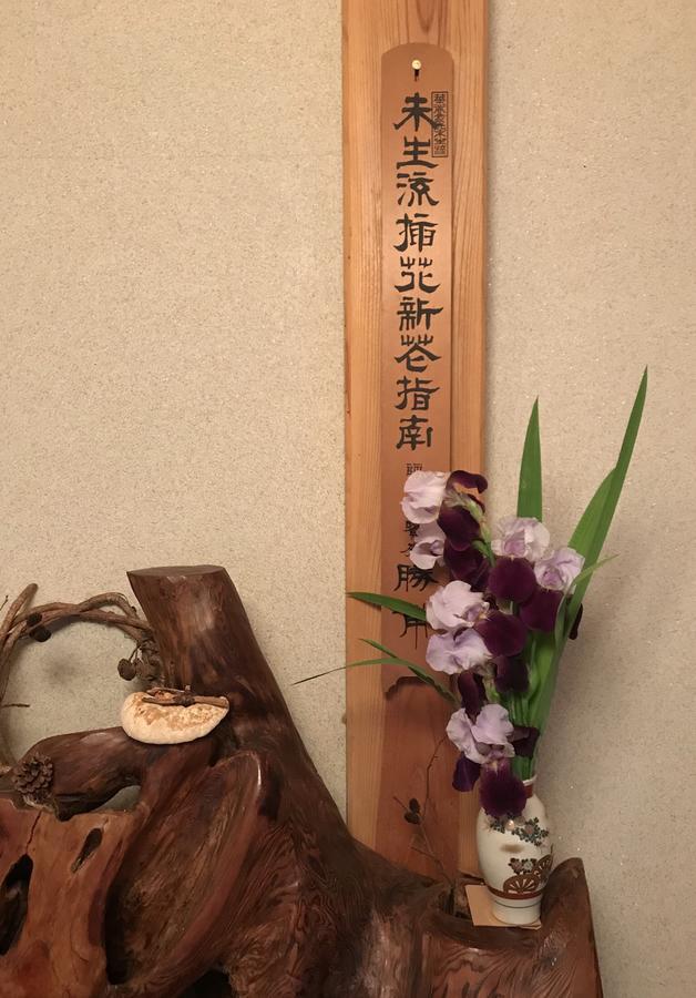 Inn Unkai No Sato No Yado Nosegawa Buitenkant foto